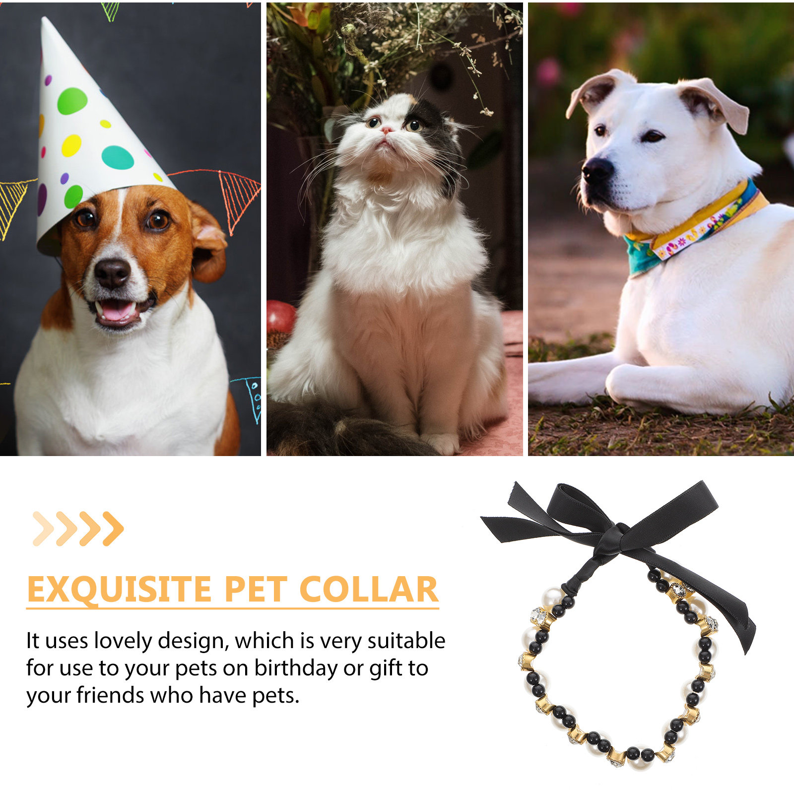 Premium Lightweight Dog Collar - Photography Competition บทวิจารณ์และราคา